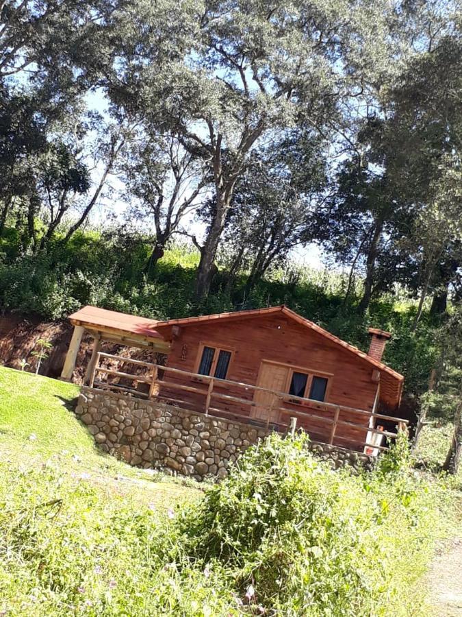مازاميتلا Cabanas Los Girasoles المظهر الخارجي الصورة